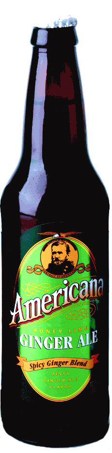 Americana Honey Ginger Ale Pure Cane Sugar Soda